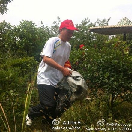 網友拍照 網友拍照