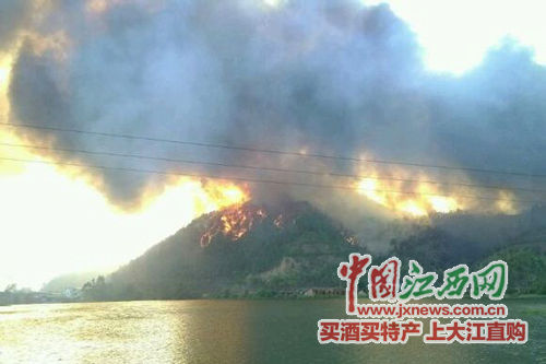 10月11日13時許,南康區龍華鄉羅邊組發生山火(圖片為網絡截圖) 10月11日13時許,南康區龍華鄉羅邊組發生山火(圖片為網絡截圖)